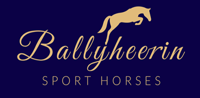 Ballyheerin Sport Horses